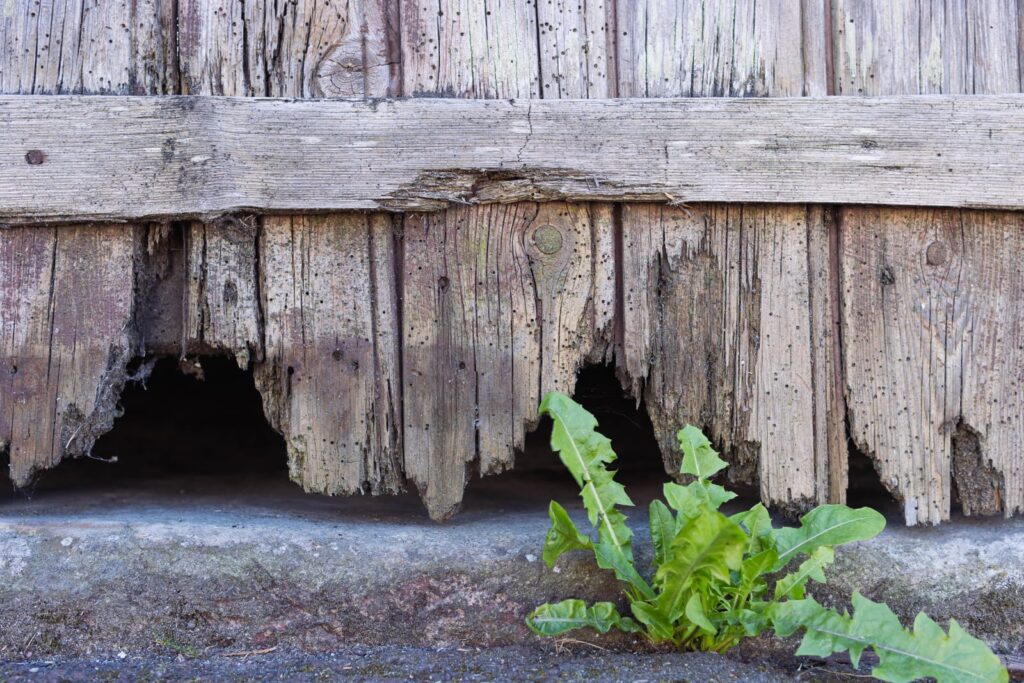 Weathered Wooden Fence