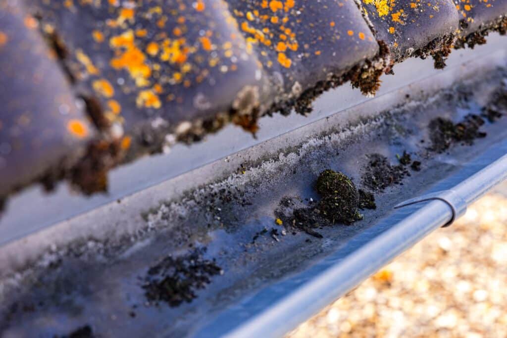 neglected guttering with lichen and moss