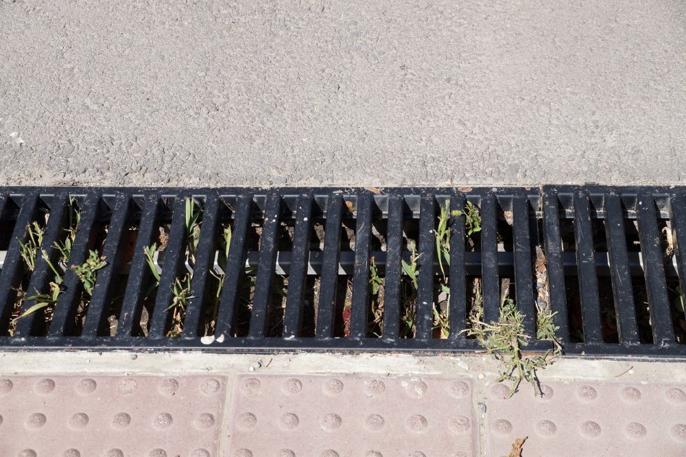 drainage grate in Auckland